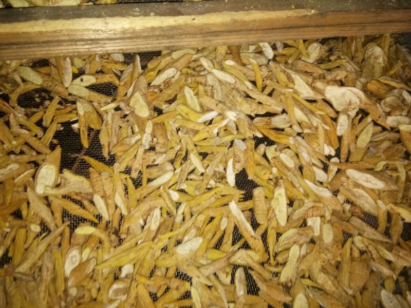 牛大力1斤以上