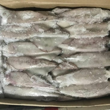 鱿鱼食用冰冻