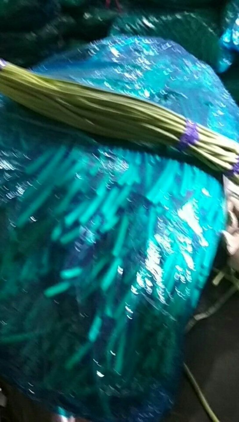 济宁精品红帽蒜苔，专业代收，代存，冷库出租！一吨起批质证