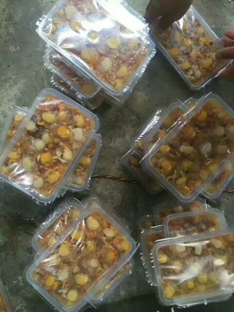 干瑶柱