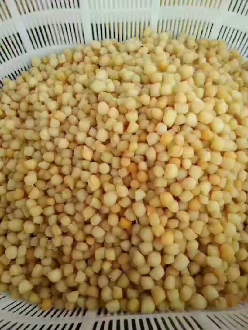 干瑶柱