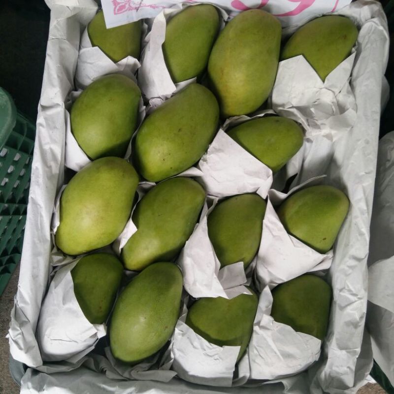 玉芒7两以上