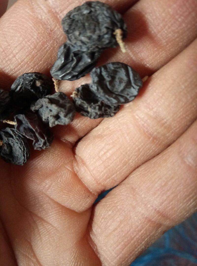 黑加仑葡萄干无核一级