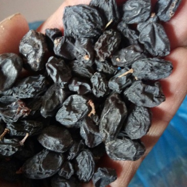 黑加仑葡萄干无核一级