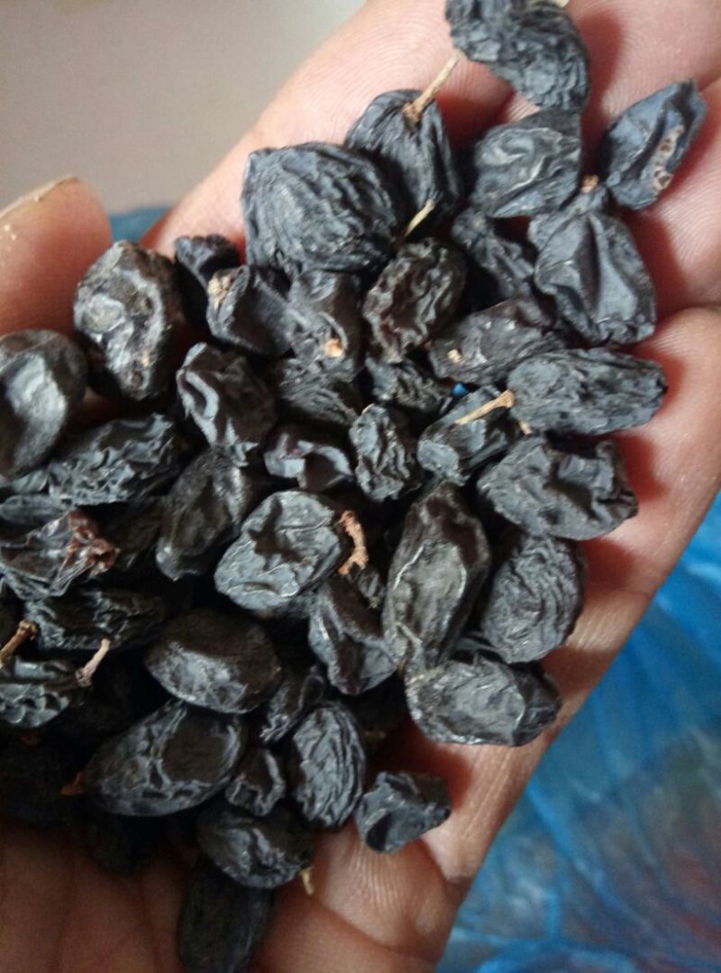 黑加仑葡萄干无核一级