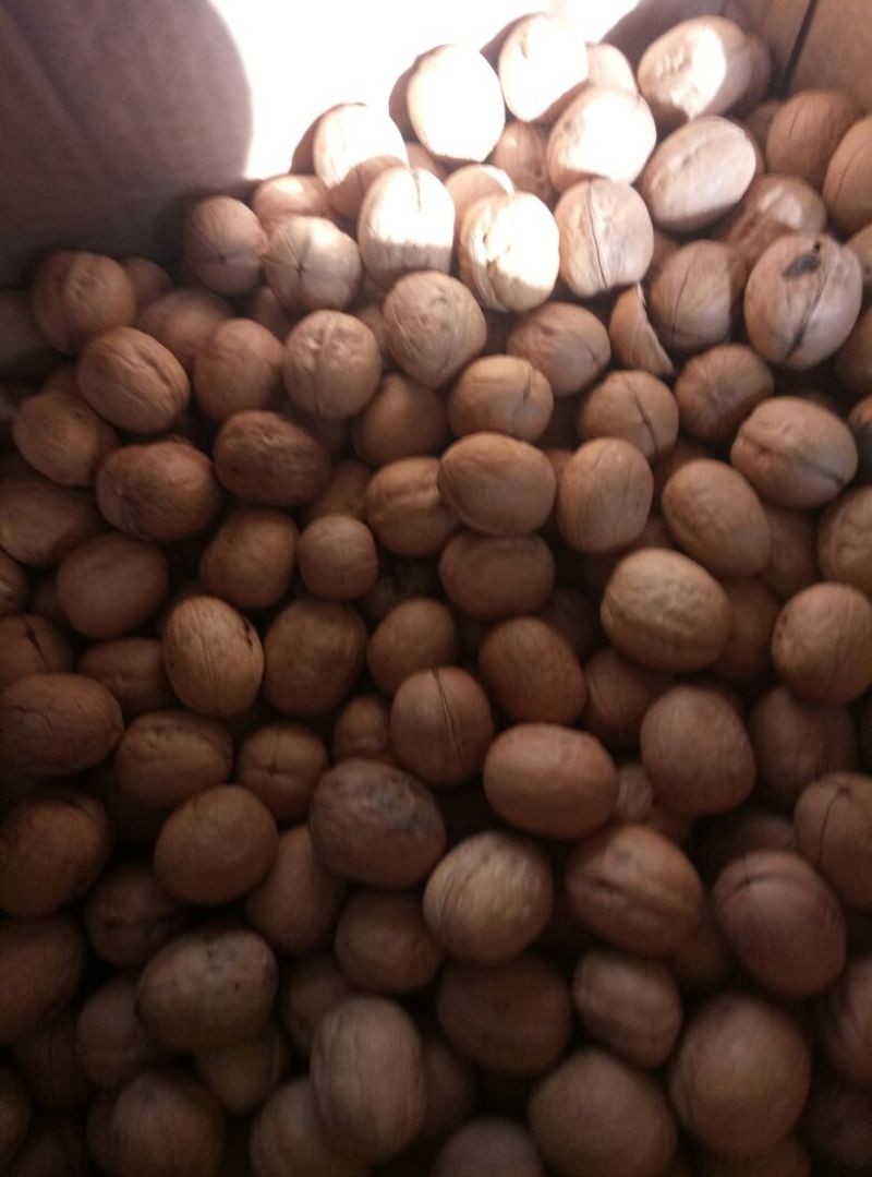 薄皮核桃25~30mm去皮干