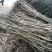 川早核桃苗50~100cm1~2年
