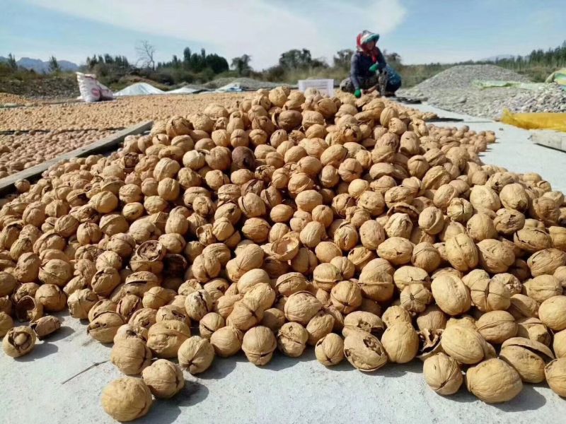 包邮新货精选货185纸皮核桃，量大优惠