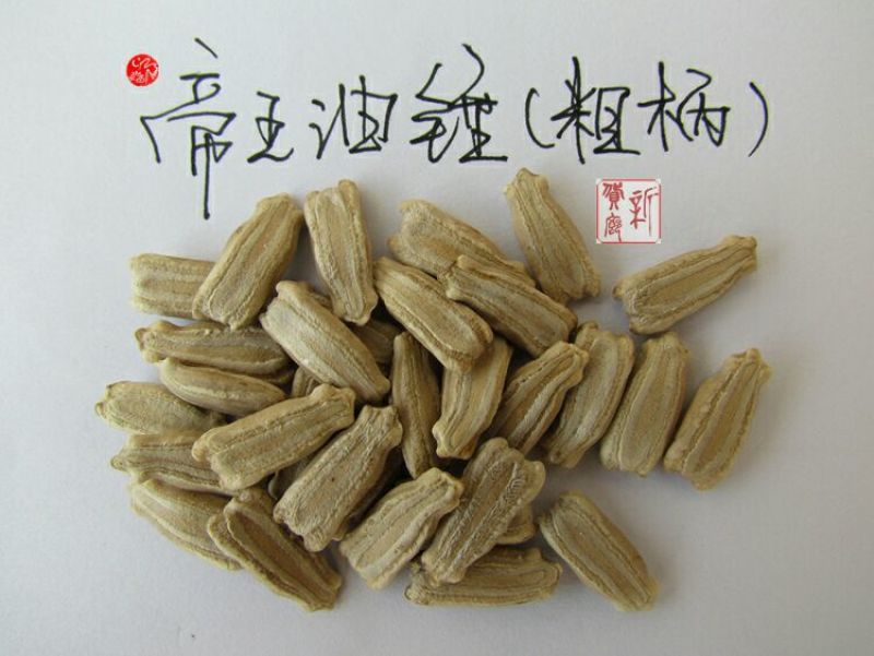 葫芦种子