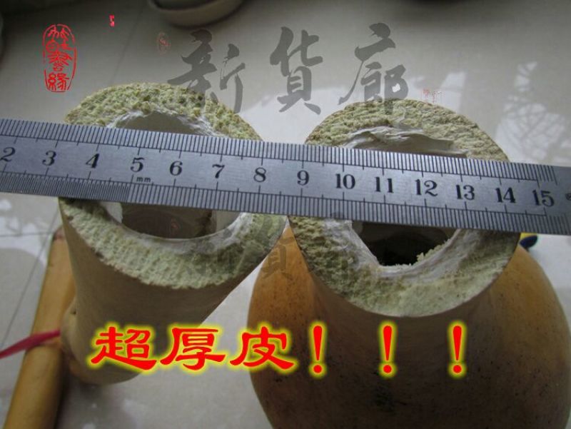葫芦种子
