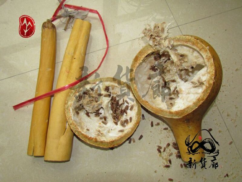 葫芦种子