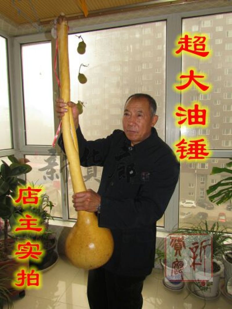 葫芦种子