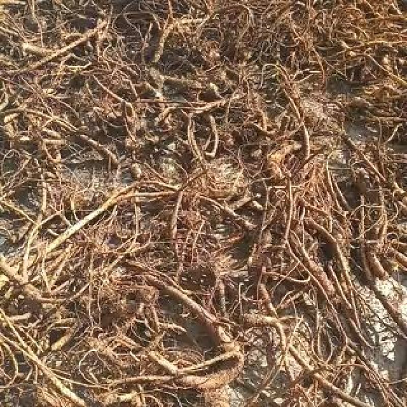 前胡，贵州省黔西南州的货