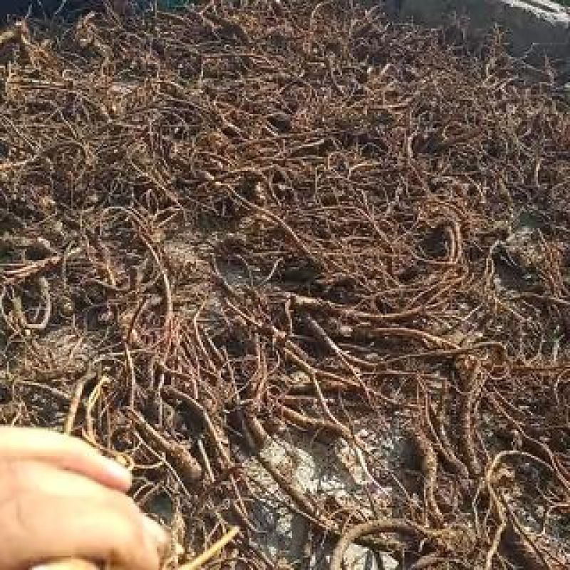 前胡，贵州省黔西南州的货