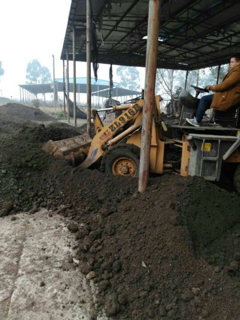 散装蚯蚓粪湖北湖南广西江西蚯蚓粪
