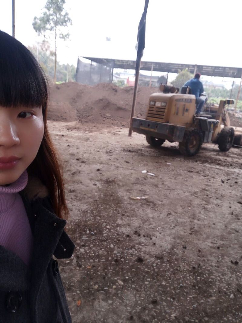散装蚯蚓粪湖北湖南广西江西蚯蚓粪