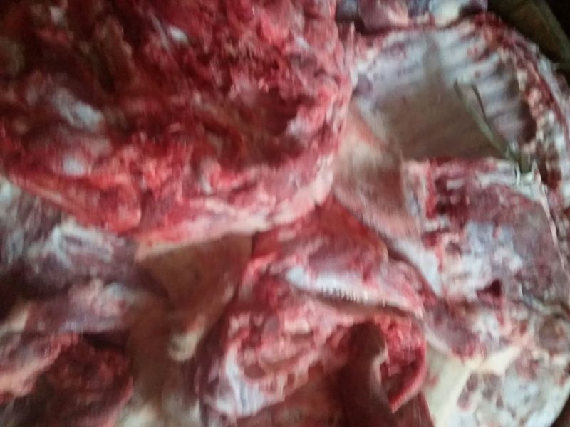 黑猪肉生肉