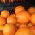 纽荷尔脐橙脐橙60，65皮薄多汁颜色火红价格便宜口感甜