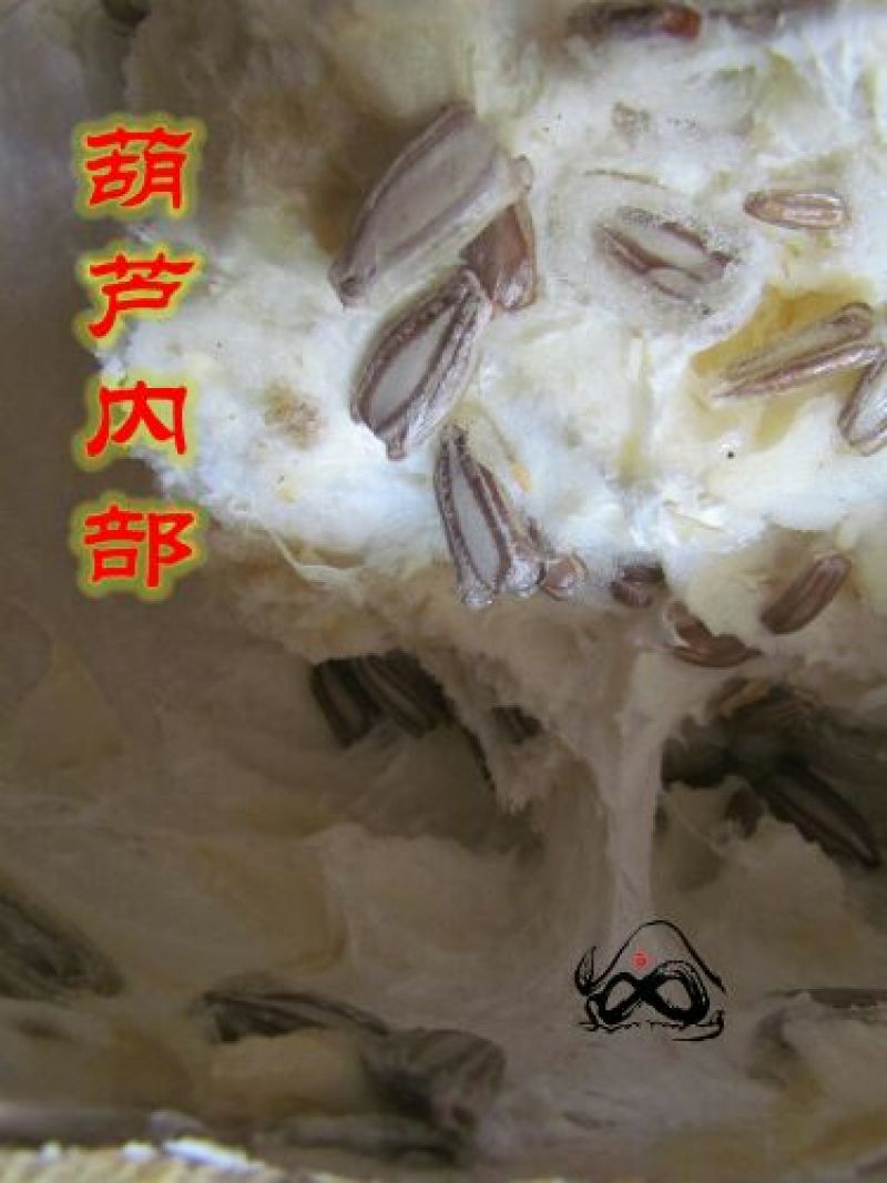 葫芦种子