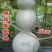 葫芦种子