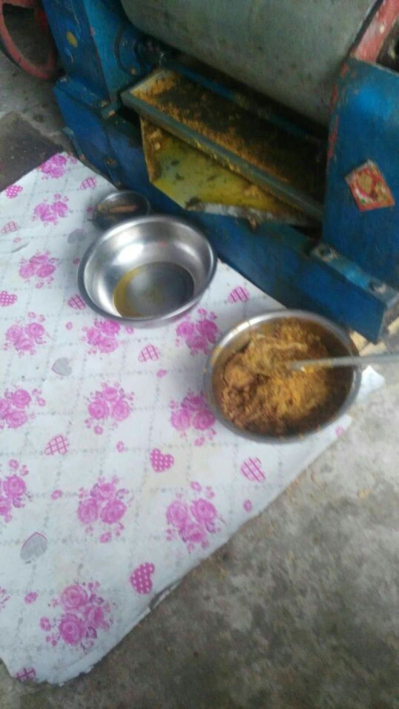 豆饼