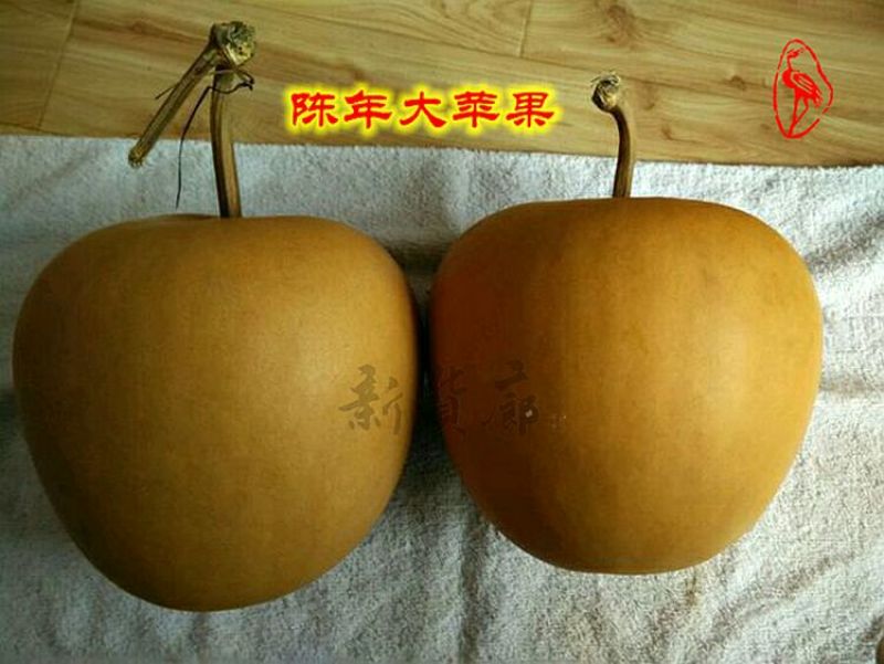 葫芦种子