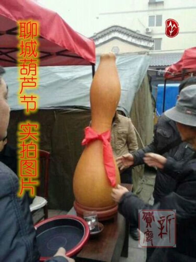 葫芦种子