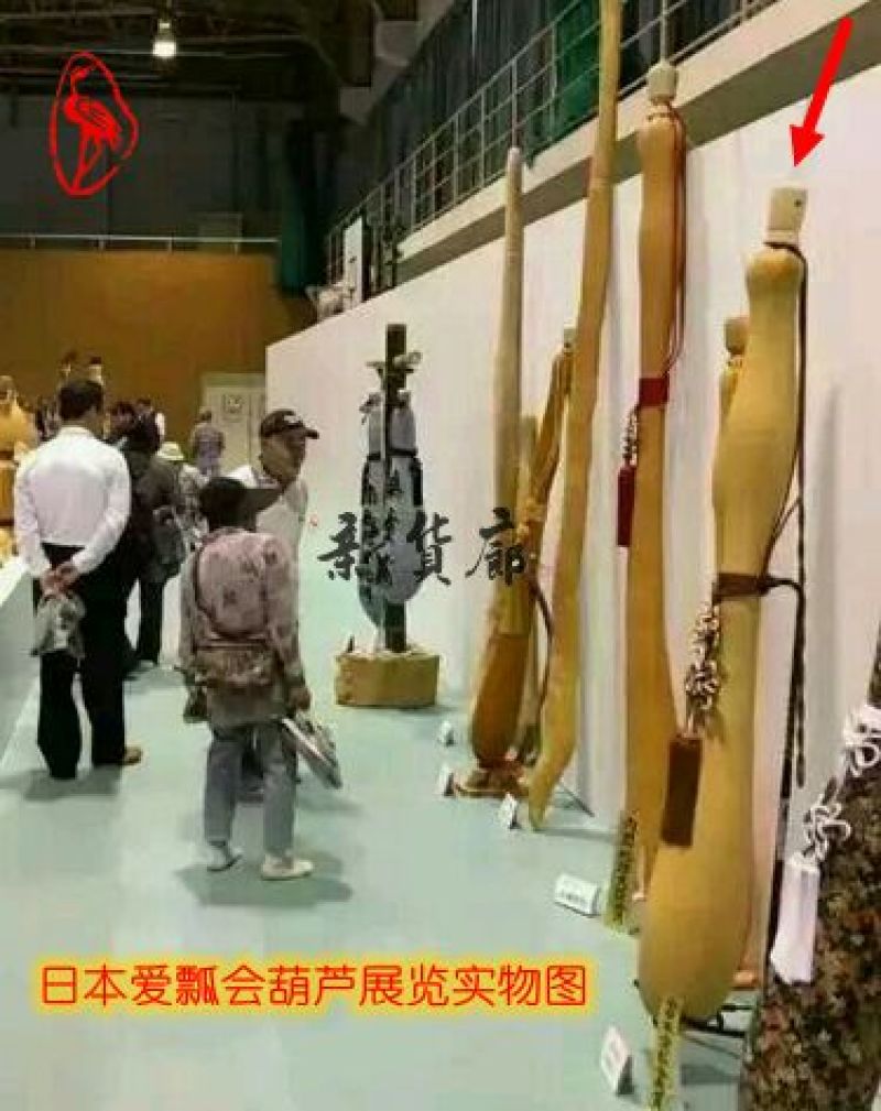 葫芦种子