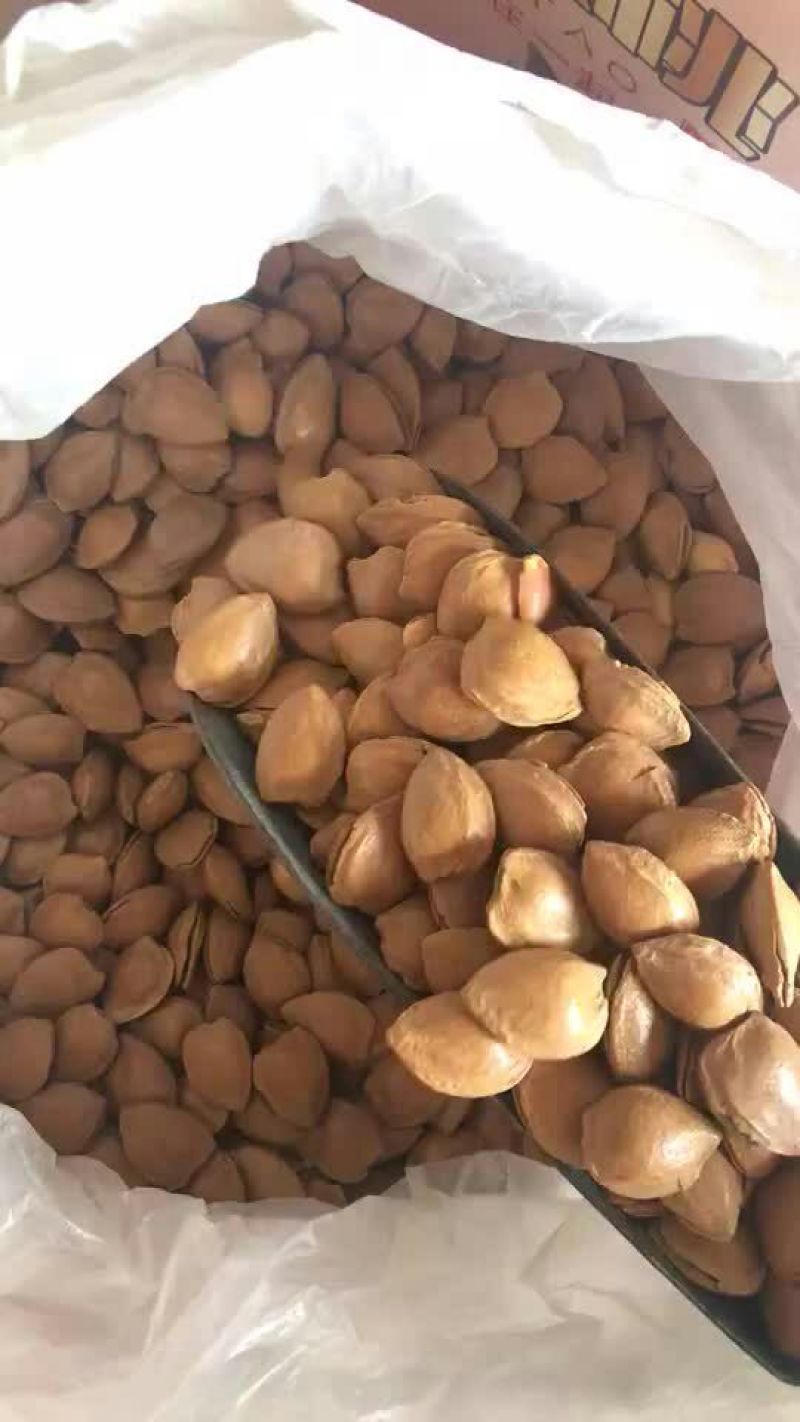 甜杏仁一级