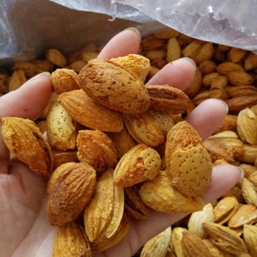 巴旦木龙果巴旦木，物美价廉