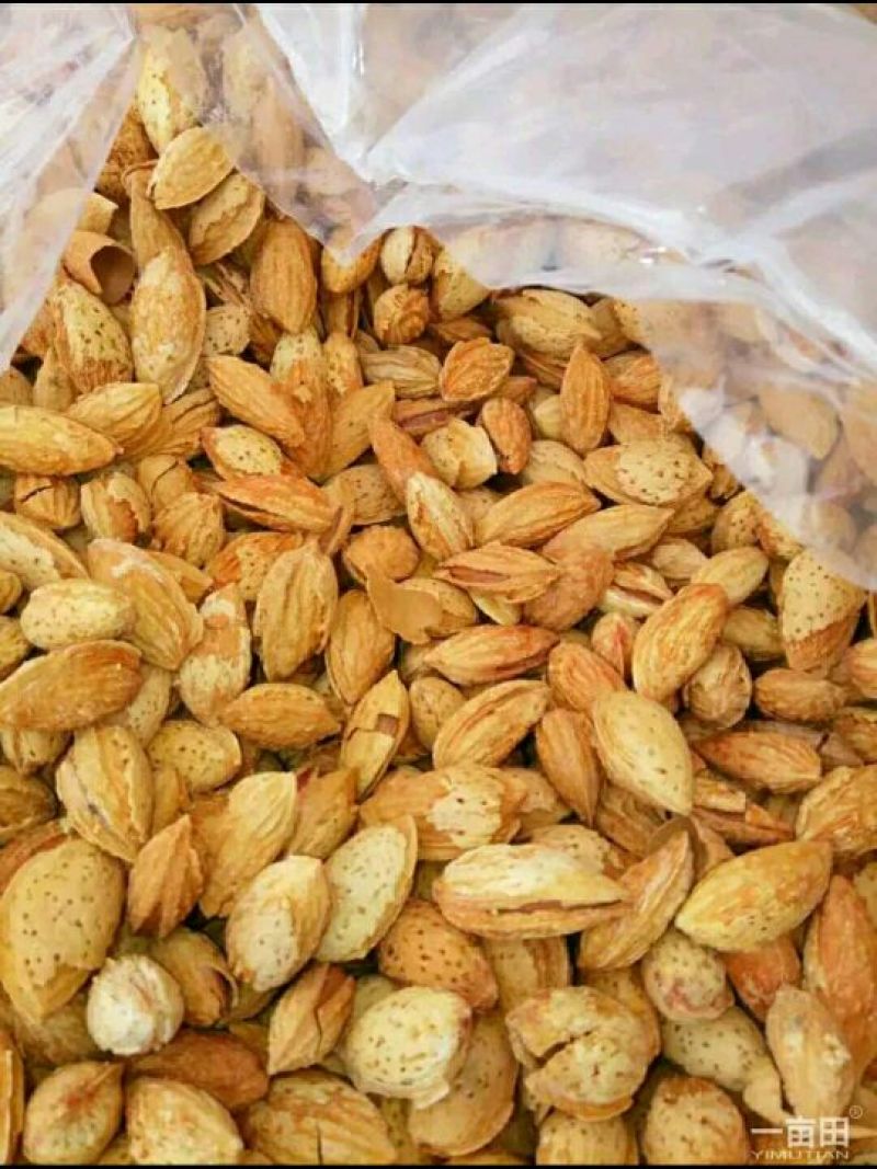 巴旦木龙果巴旦木，物美价廉