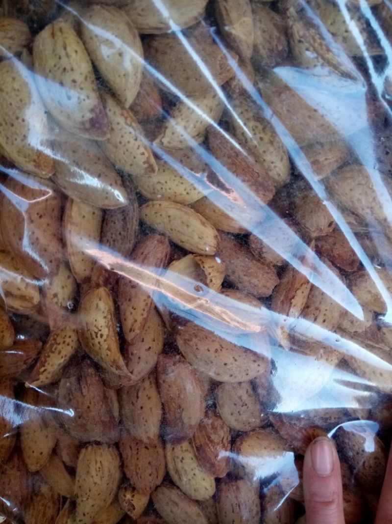 巴旦木龙果巴旦木，物美价廉
