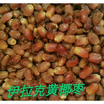 椰枣干枣一级
