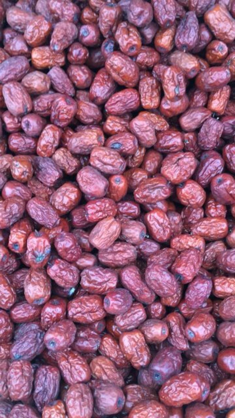 新疆红枣干枣二级价钱合理，品相好，质量优