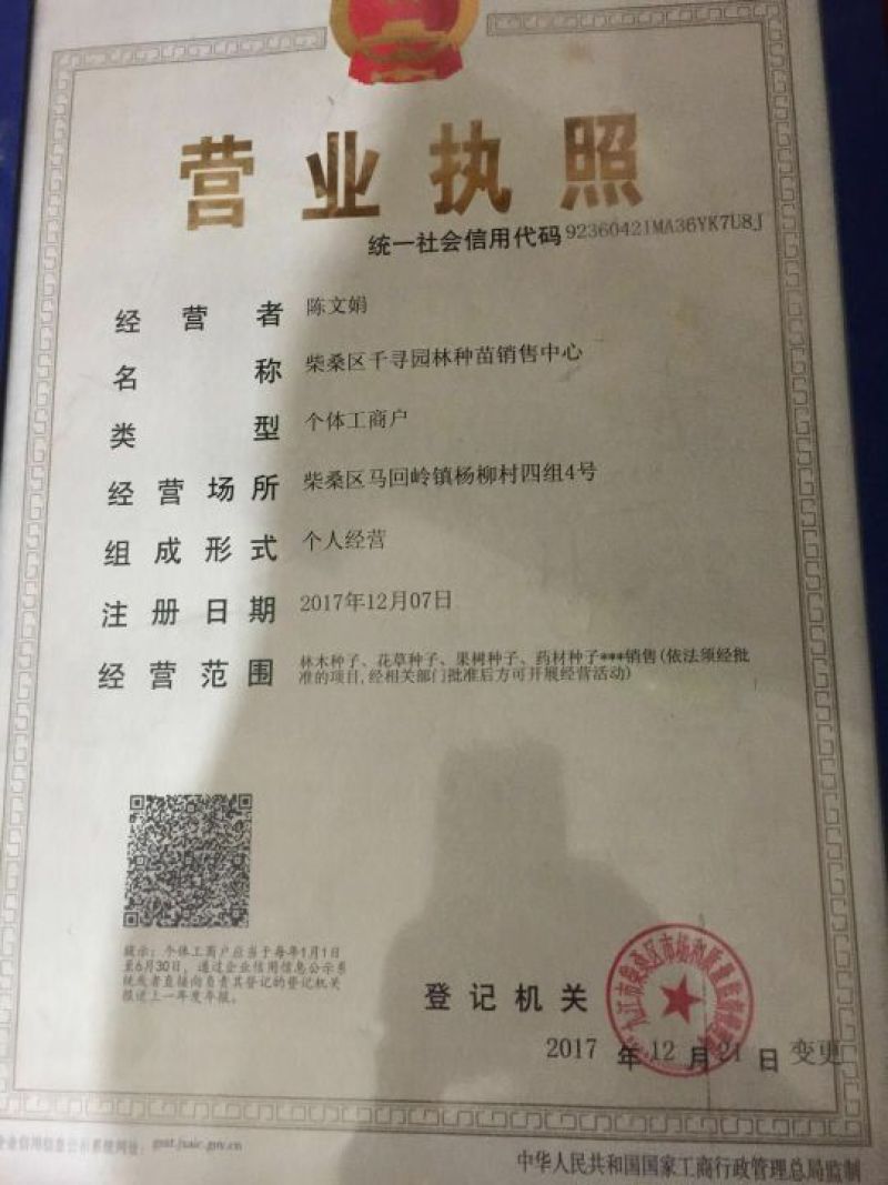 红桔种子