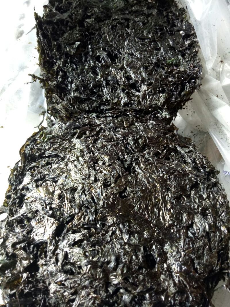紫菜人工养殖，(色黑叶嫩，免洗无沙，5斤起发货。。。