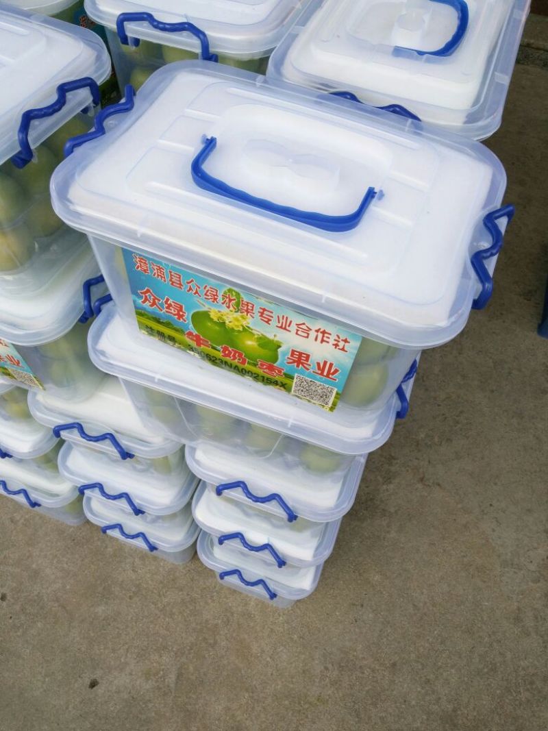 青枣50g以上