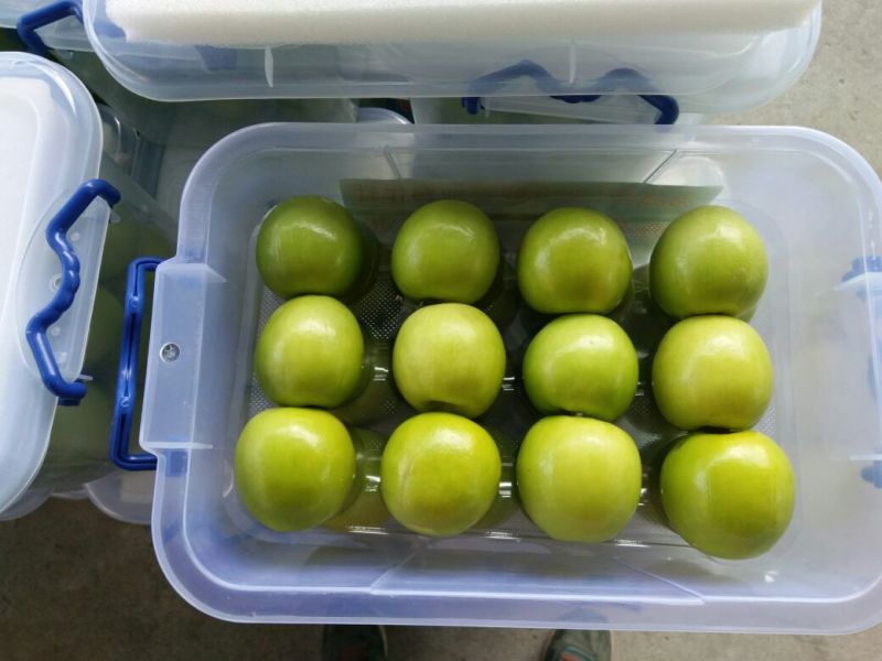 青枣50g以上