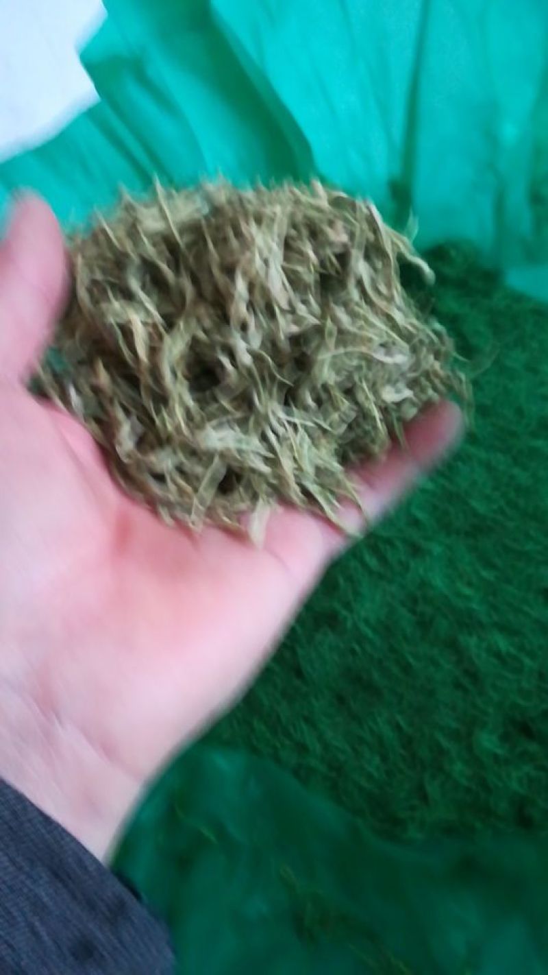 金银花，