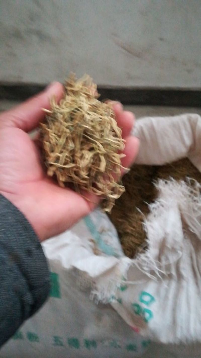 金银花，