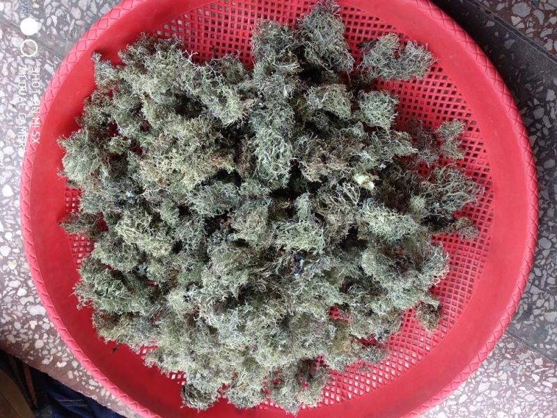 树花菜