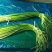 蒜薹，红帽，白帽蒜苔，以质论价货源充足