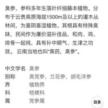 臭参