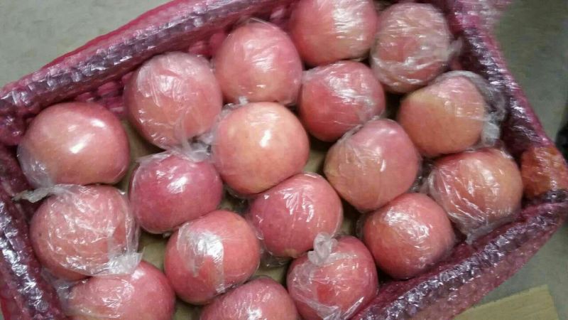 红富士苹果膜袋，纸加膜现摘现发欢迎采购