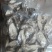 葛根0.5~1斤食用