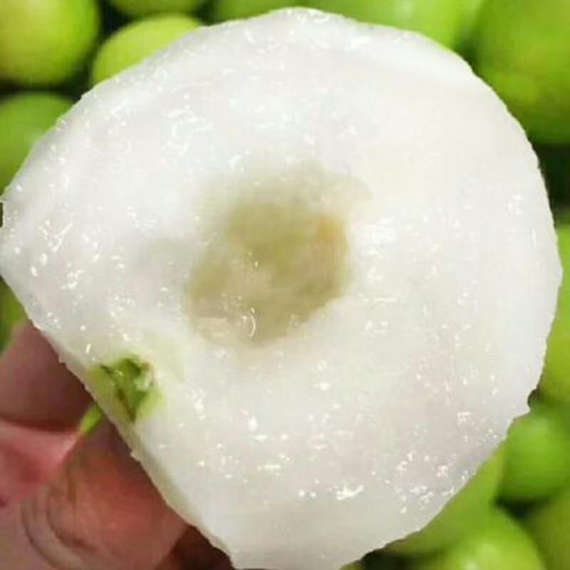 台湾密丝枣，中叶大枣，50g以上