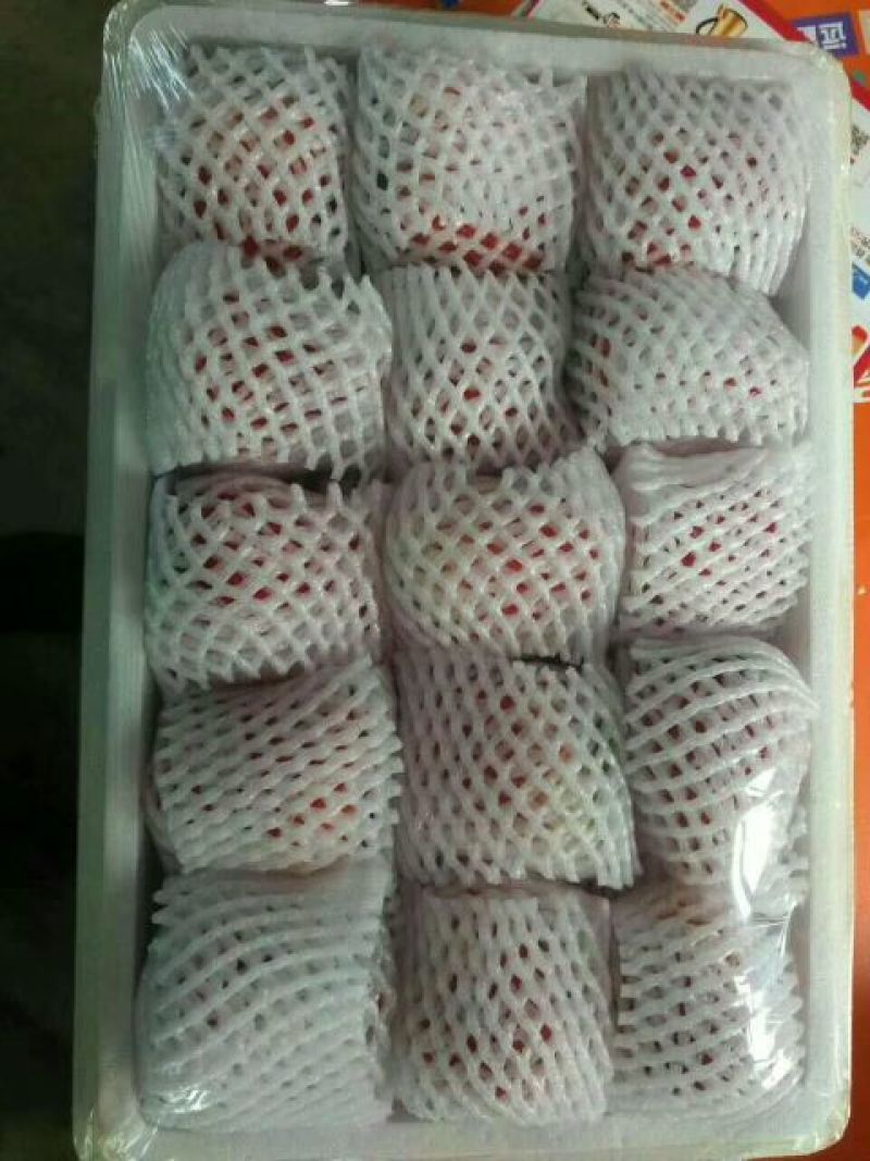 丹东草莓50克以上