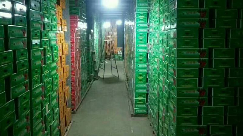 巨峰葡萄5%以下1~2斤
