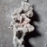 毛石