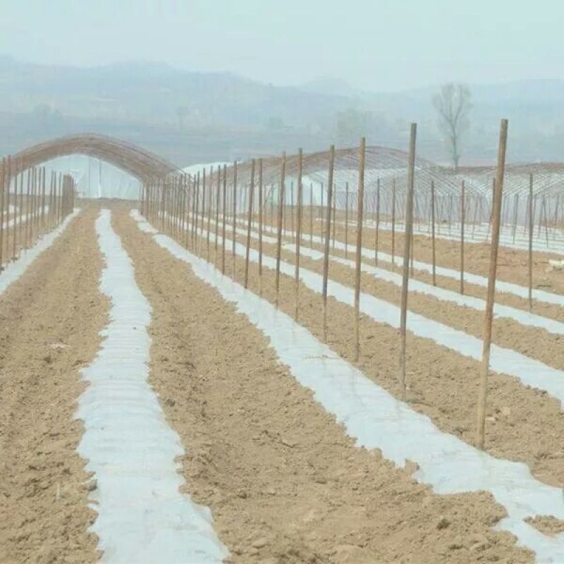 农资白色地膜保温保湿农用膜吹塑膜白地膜黑地膜果园蔬菜大棚